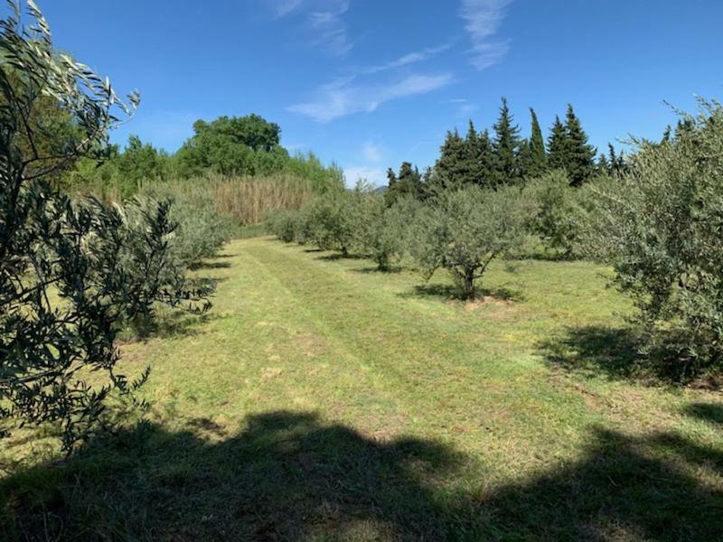 Le Mazet Des Joncs En Provence Saint-Pierre-de-Vassols Exterior foto